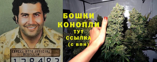 PSILOCYBIN Алексин
