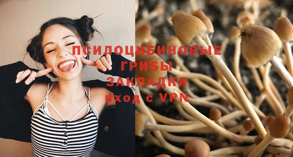 стаф Аркадак