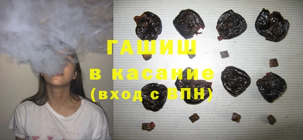 сатива Алзамай